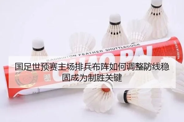 国足世预赛主场排兵布阵如何调整防线稳固成为制胜关键（ZOSPORTS）